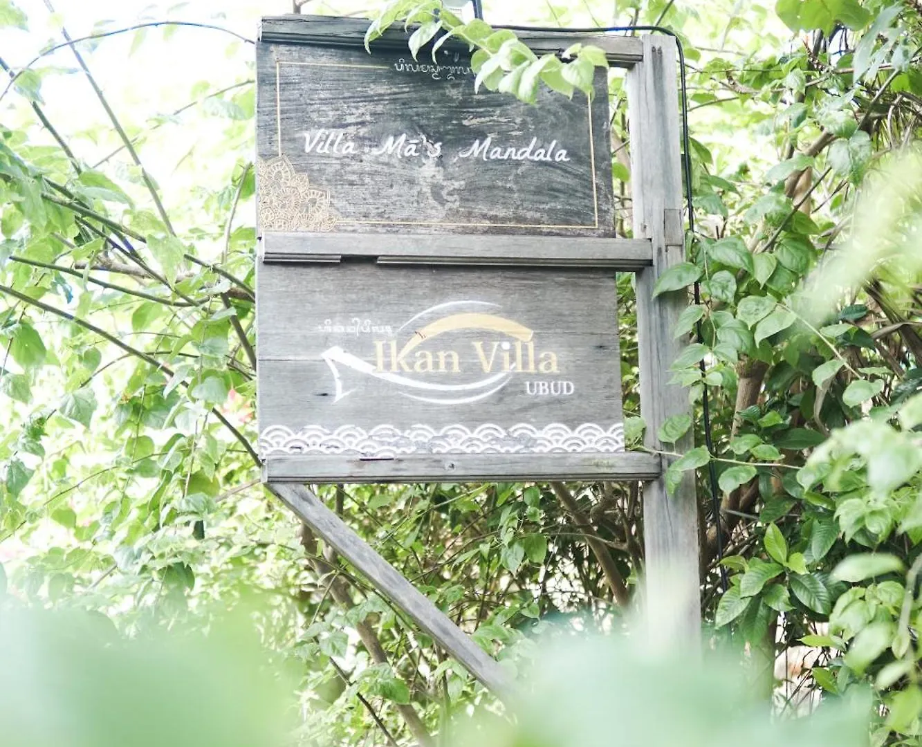 Ikan Villa Ubud 0*,  Indonézia